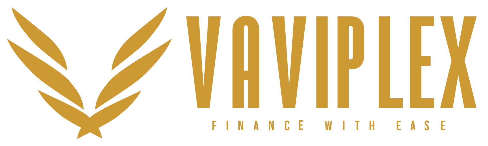 Vivaplex Finance